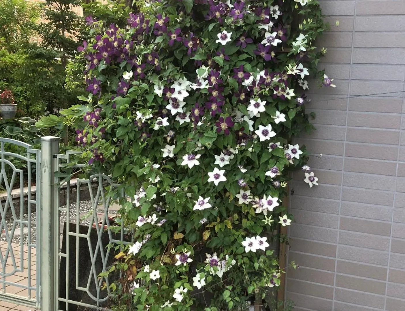 S & K Garden House Apartment Tokyo